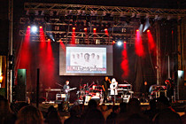 StadtfestWels-001.jpg