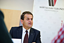 WB_Wels003a.JPG