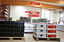 wkoll014.JPG