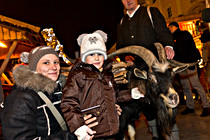 wels_advent_009.jpg