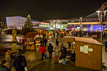 Leo_Adv_20141206_010_SKL1655.jpg