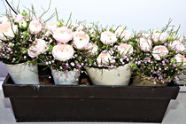 JR__5253.jpg