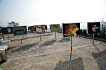 109.jpg