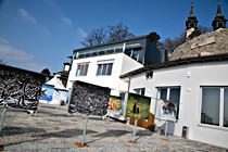 110.jpg