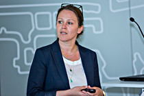 Lichtbl_IFN_050_SKL8816.jpg
