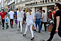 wels_009.jpg