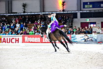 pferd011.jpg
