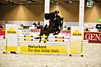 pferd019.jpg