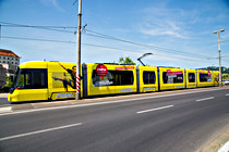 QU0A0750.jpg