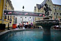 wels_esc_004.jpg