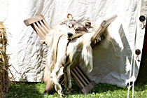 JR__0133.jpg