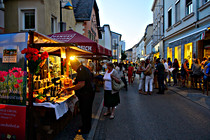 wels_07.jpg