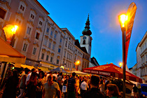 wels_08.jpg
