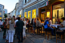 wels_31.jpg