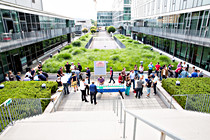open-up_031.jpg