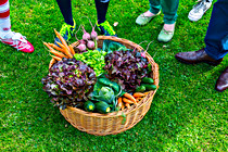 Trauner_GFB_2015_030_SKL4410.jpg