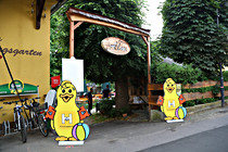 JR__7718.jpg