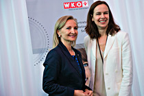 fidw001a.JPG