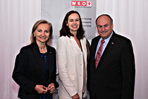 fidw016.JPG