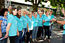 Strauss_Ensemble_Klosterhof018.jpg
