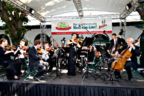 Strauss_Ensemble_Klosterhof025.jpg