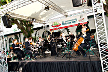 Strauss_Ensemble_Klosterhof029.jpg