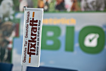 fixkraft004.JPG