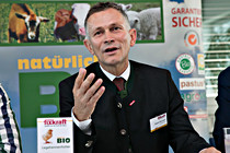 fixkraft006.JPG