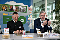 fixkraft010.JPG