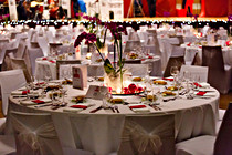 WifeBall_027.jpg