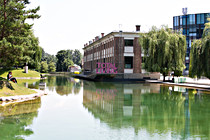 QU0A3110.jpg