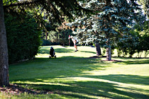 cityfoto017.jpg
