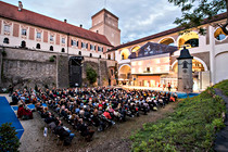 Steyr_0006.JPG