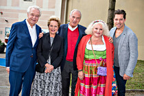 Steyr_0021.JPG