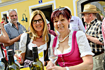 vinum_perg_-038.jpg