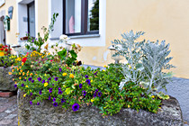 Etzberger_150_SKL8066.jpg
