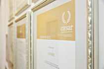 upart_010.jpg