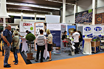 fidw009.jpg