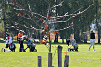 kleinblindkind024.jpg