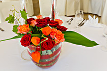 W_Dieringer_50_100_SKL8469.jpg
