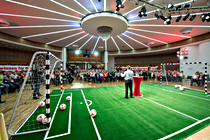FSG_00009.JPG