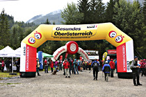 orf001.jpg