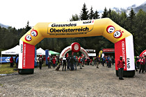 orf003.jpg