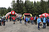 orf010.jpg