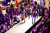 maxcenter025.jpg