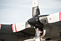 Flugtag_00029.JPG