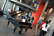 DSC_1566.jpg