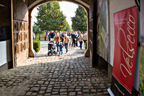 Sturmfest_050_SKL2883.jpg