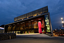 pink_ribbon_night_002.jpg