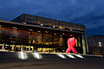 pink_ribbon_night_025.jpg
